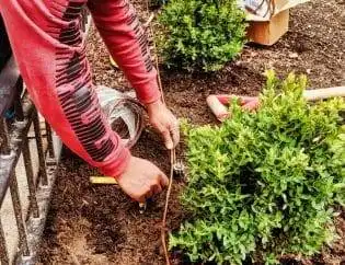 irrigation system installation