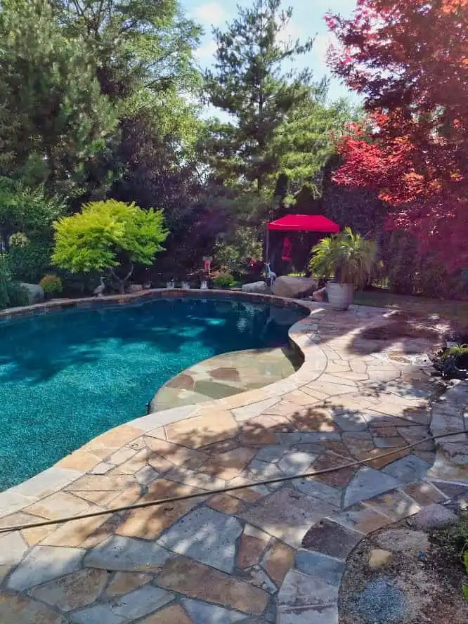 backyard pool