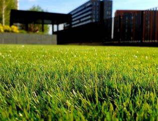 How To Care For Your Lawn