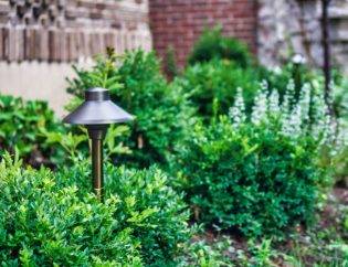 Spring Landscaping